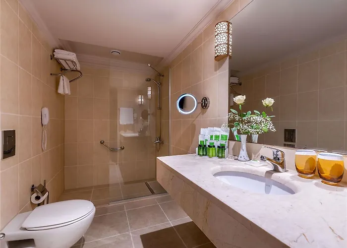 酒店 Rixos Park - The Land Of Legends Access 贝莱克